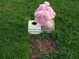 image of grave number 112796